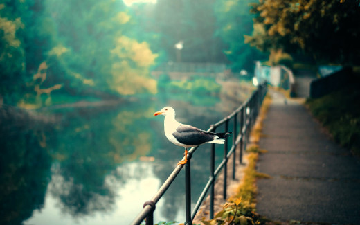 1756030 (a): :1920x1200